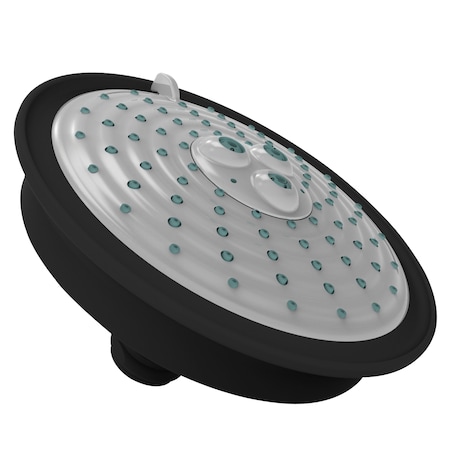 Newport Brass Multifunction Showerhead in Flat Black 2144-56